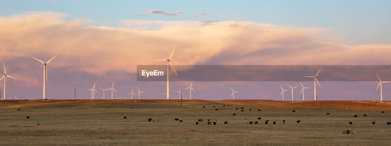 Wind turbines in field against sunset sky