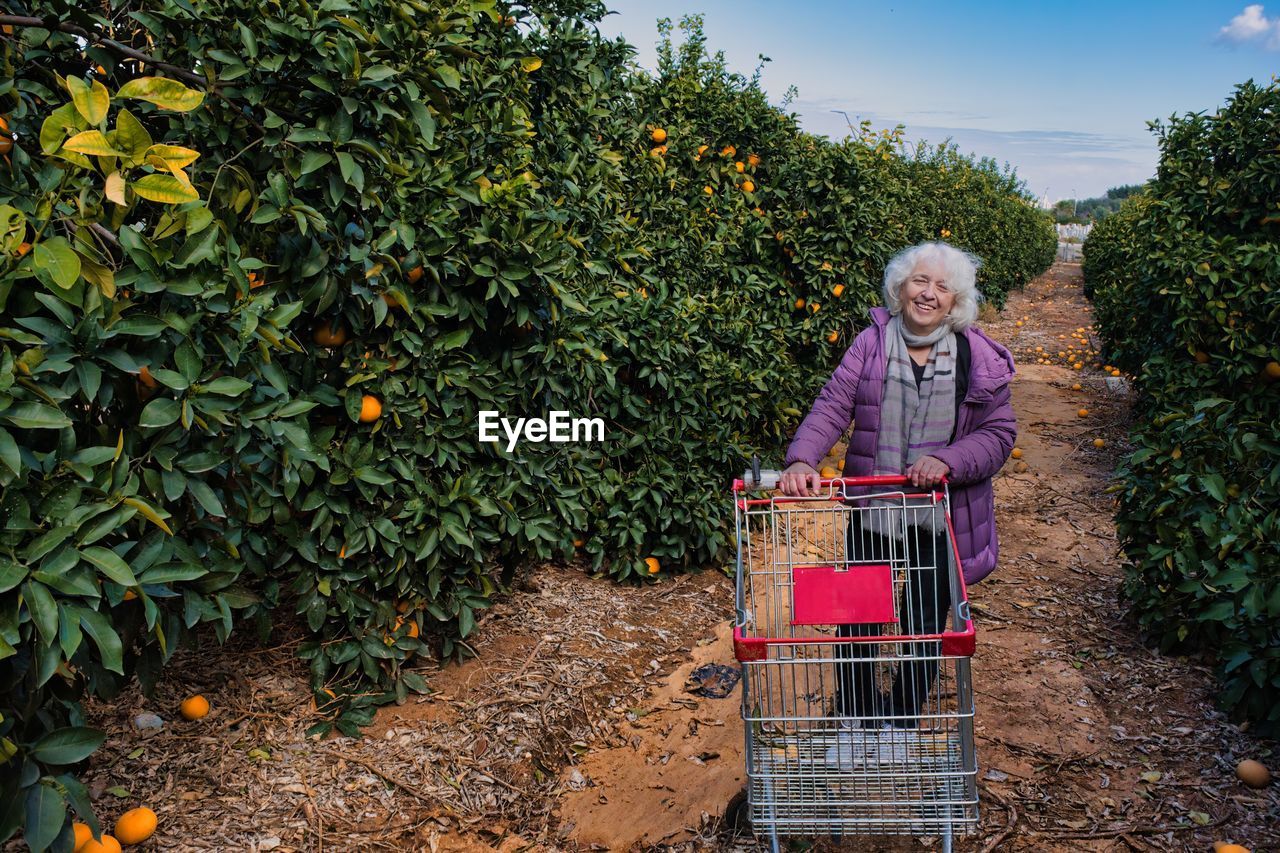 Mature gray-haired happy woman over 60 in a purple jacket in a citrus garden.