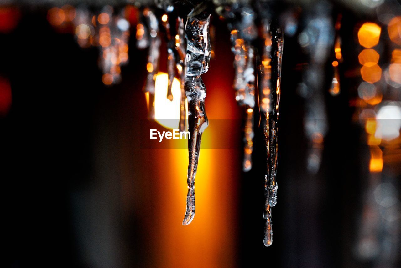 Close-up of icicle at night