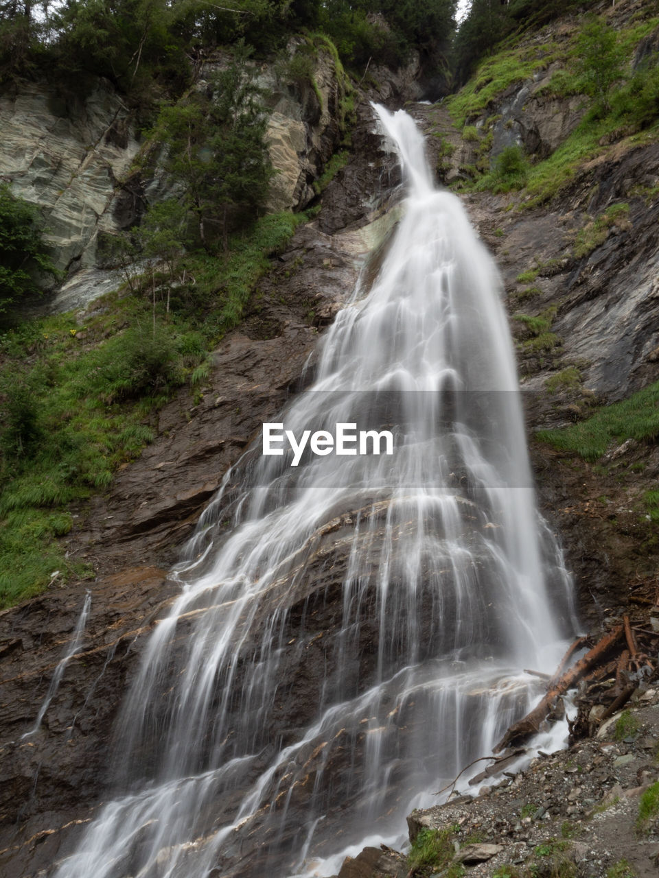 WATERFALL IN FOREST