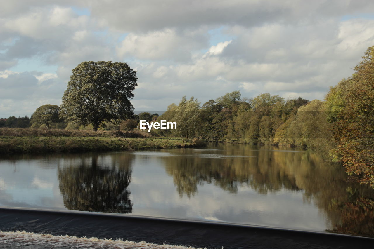 Reflection of trees in calm lake