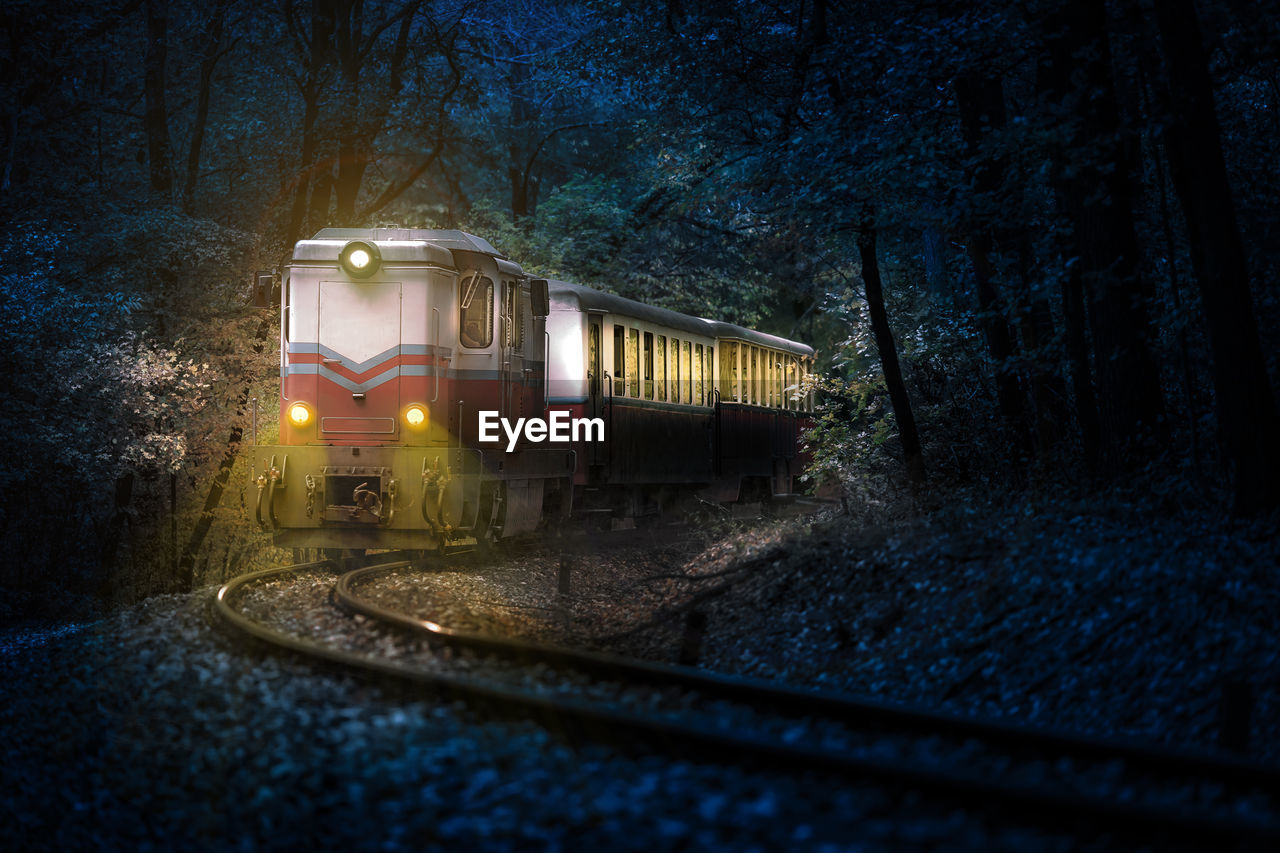 Illuminated train on railway track amidst trees at dusk