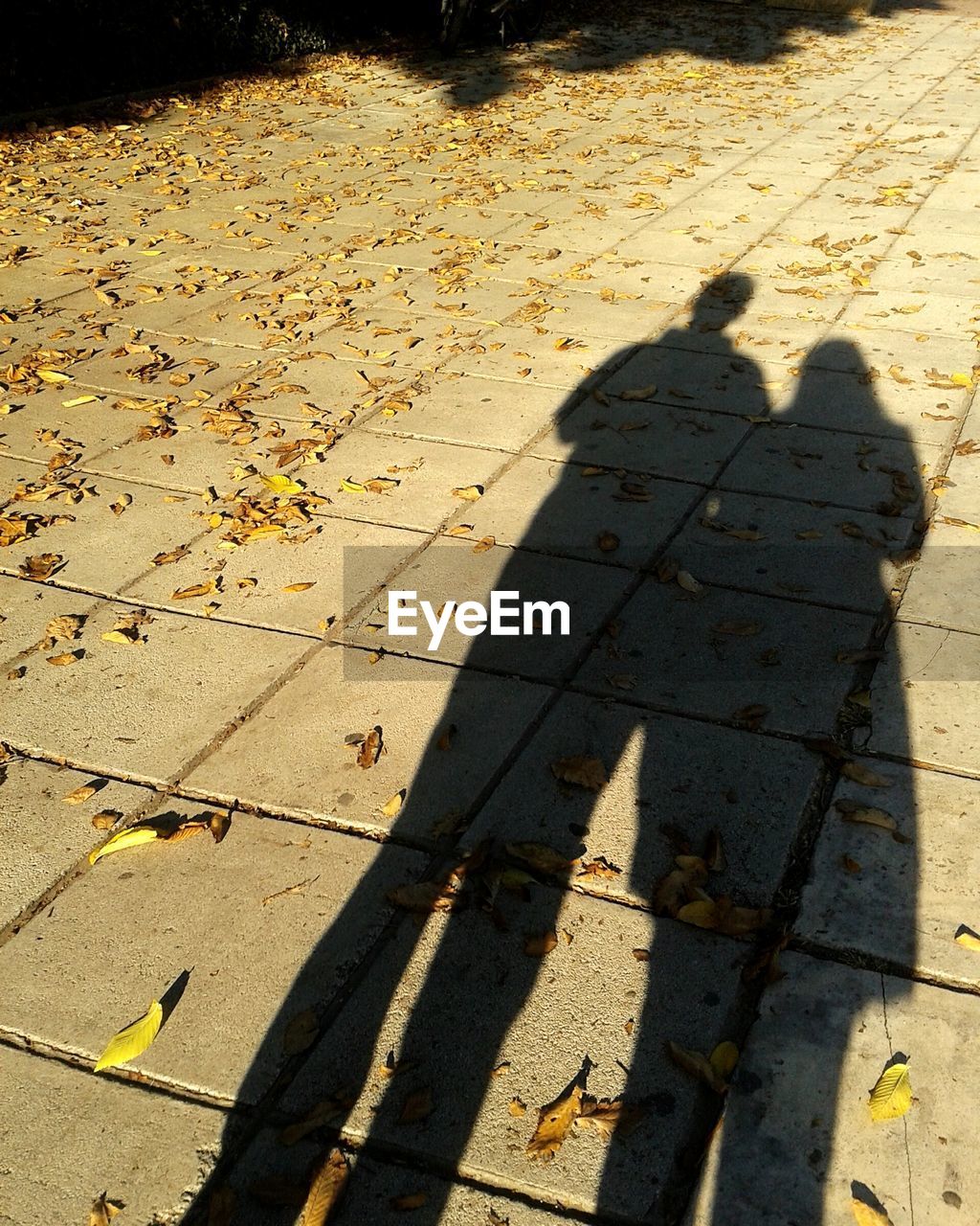 Shadow of man and woman while standing on paving stone