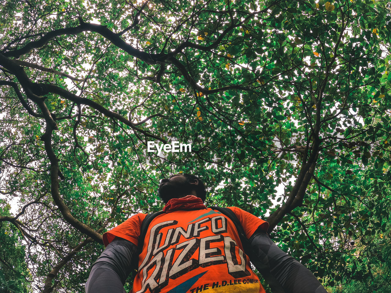 REAR VIEW OF MAN STANDING BY TREES