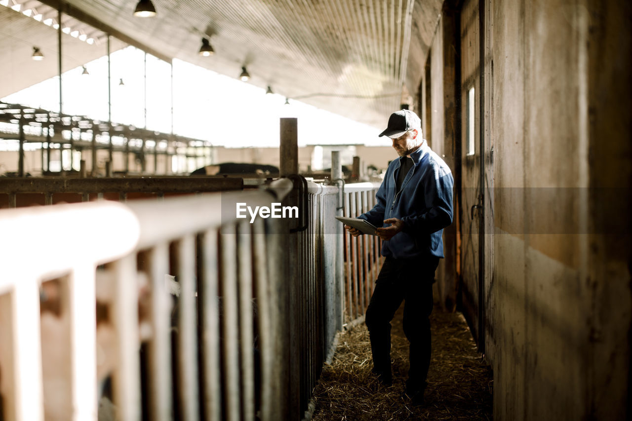 Farmer using digital tablet standing by railing at dairy farm