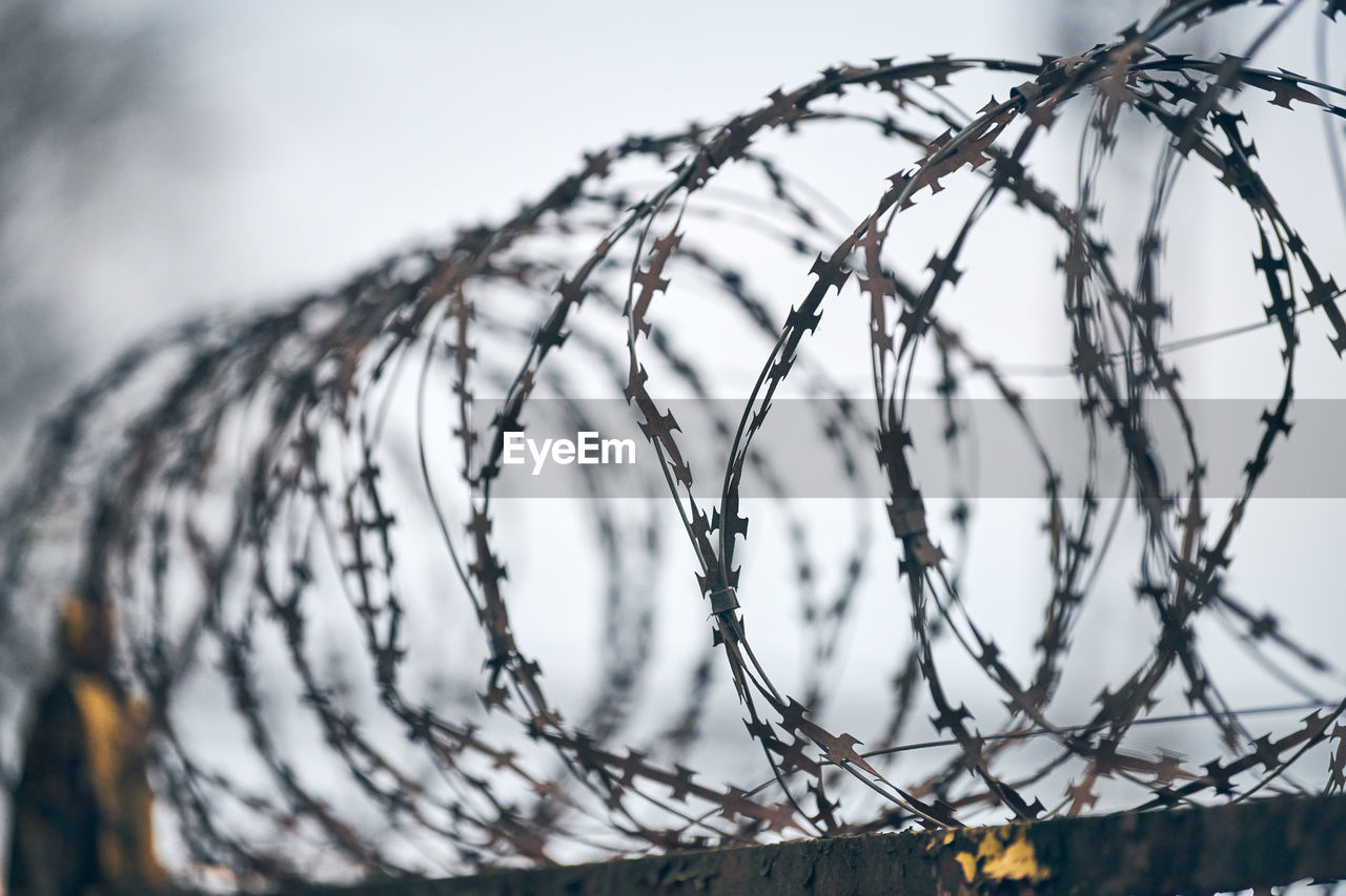 Barbed wire on fence of restricted area. no unauthorized entry. old fence of military border