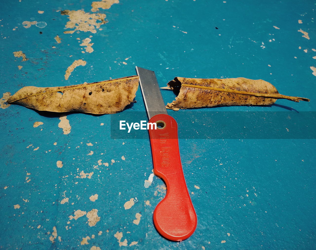 HIGH ANGLE VIEW OF FISH ON PLATE