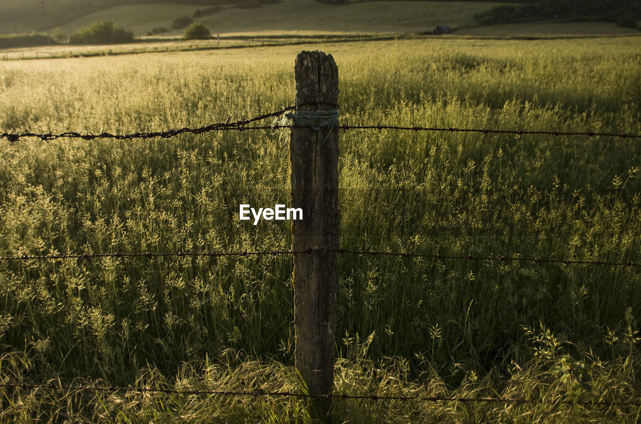 SCENIC VIEW OF FARM