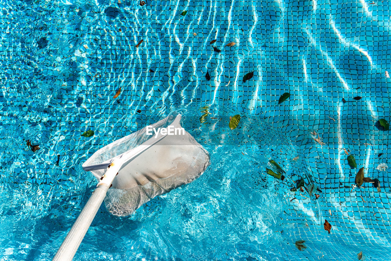 HIGH ANGLE VIEW OF FISH IN SWIMMING POOL