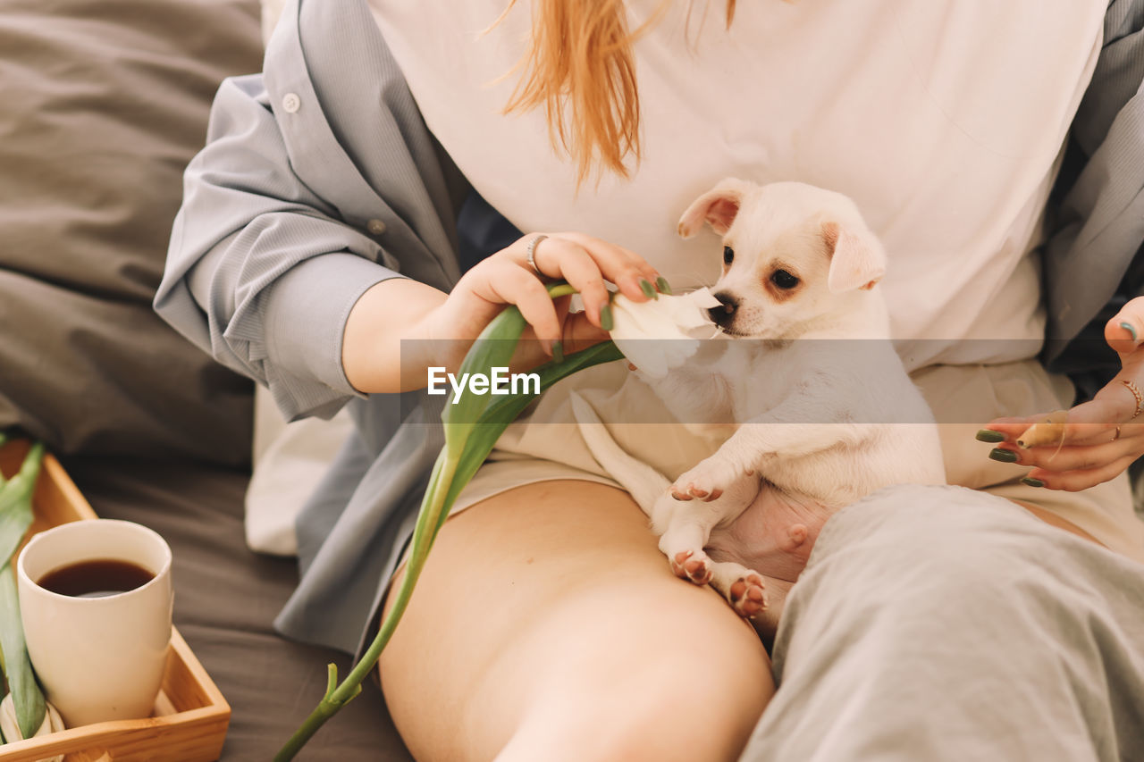 A cheerful young teenage woman plays with her pet a small dog in bed in the morning in a cozy house