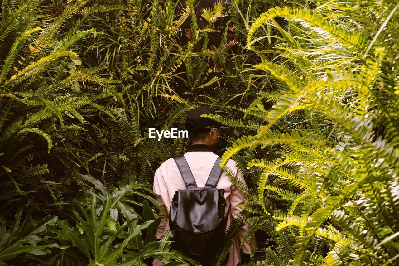 Rear view of man standing amidst plants