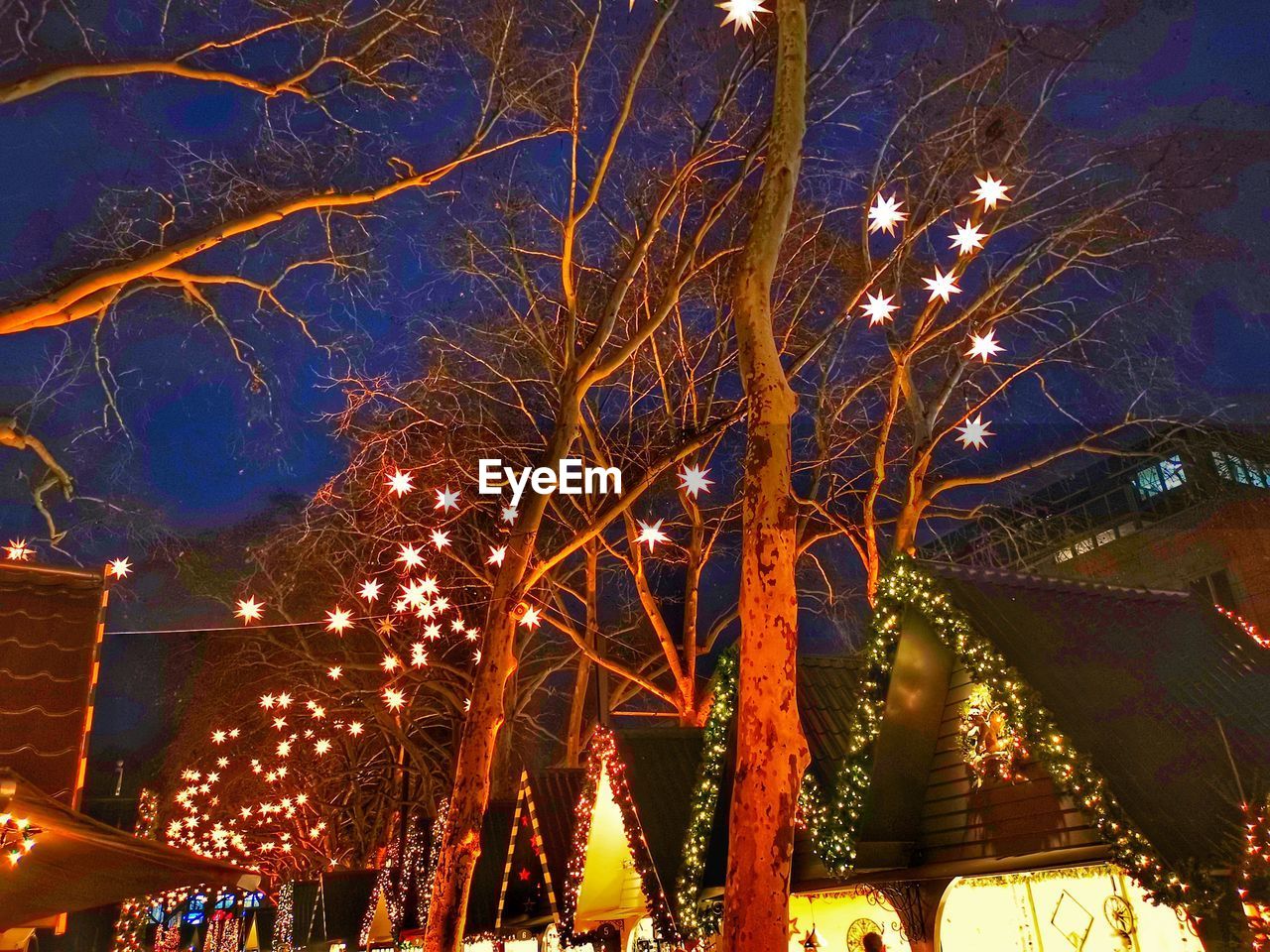 LOW ANGLE VIEW OF ILLUMINATED BARE TREE AT NIGHT