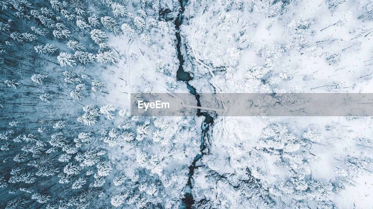 High angle view of snow covered trees on landscape
