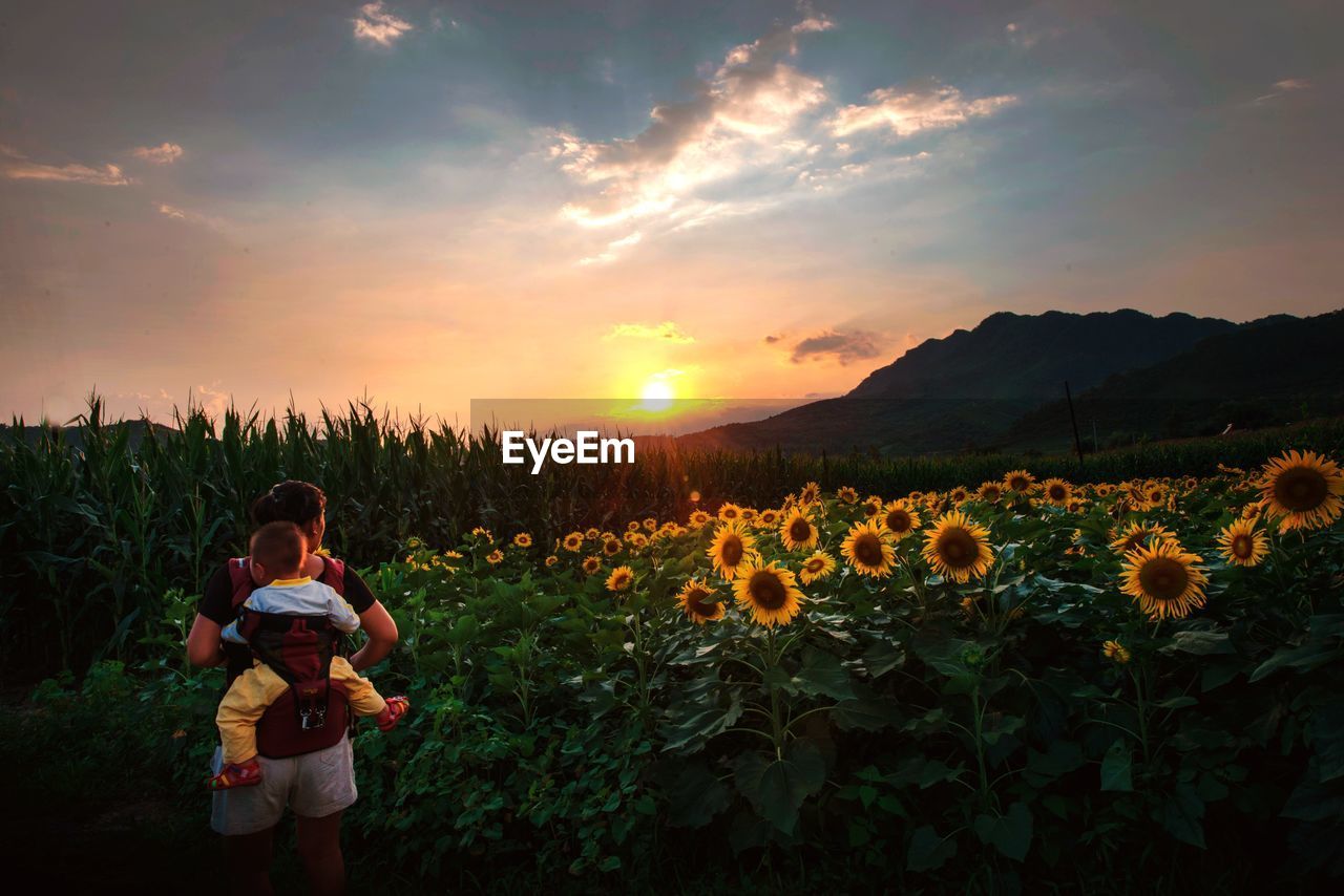 REAR VIEW OF PEOPLE ON FIELD DURING SUNSET