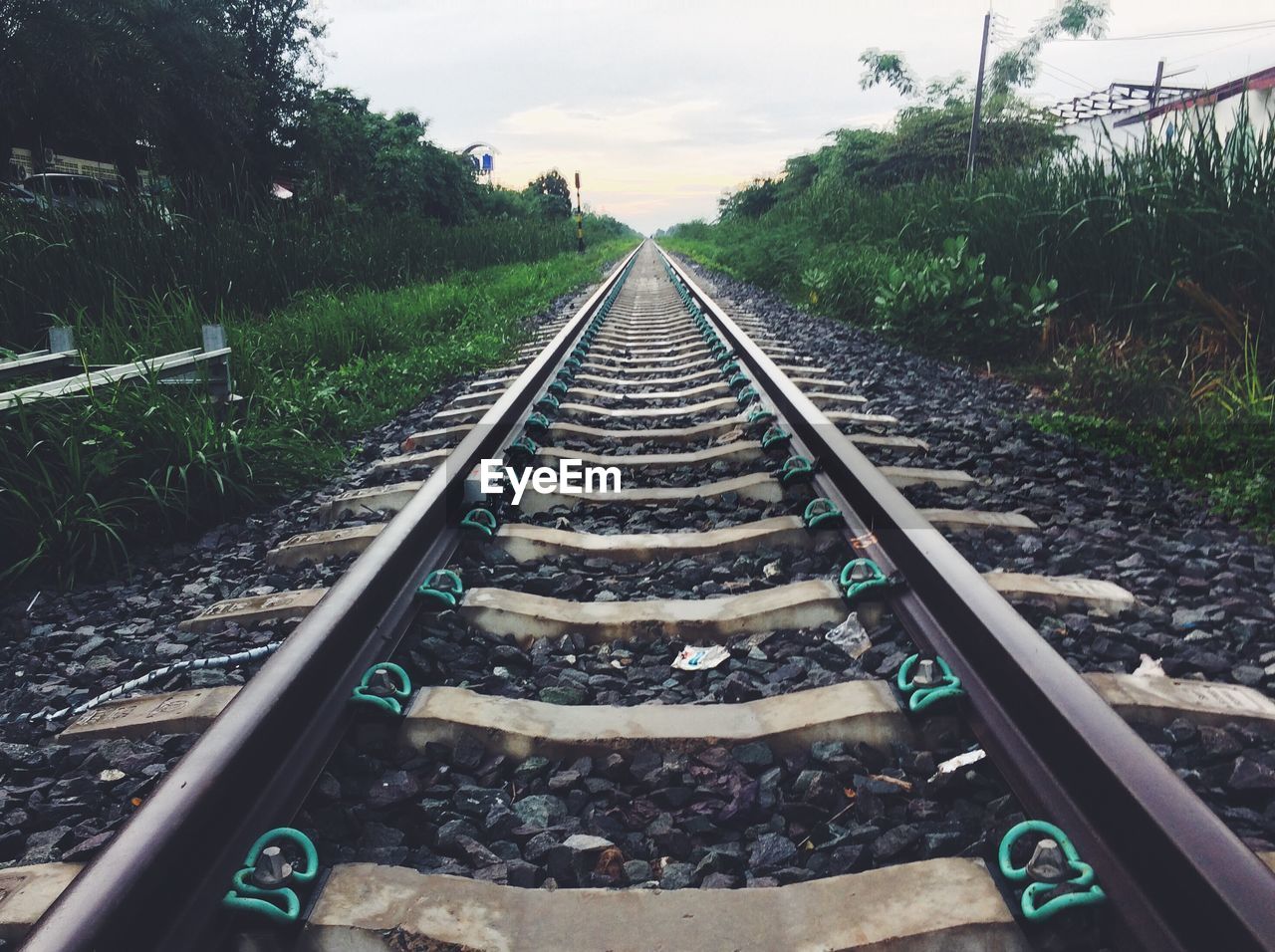 RAILROAD TRACK BY TREES AGAINST SKY