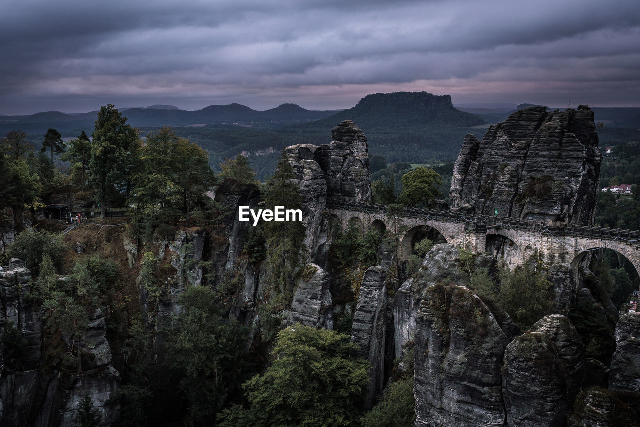 TREES GROWING ON MOUNTAIN AGAINST SKY
