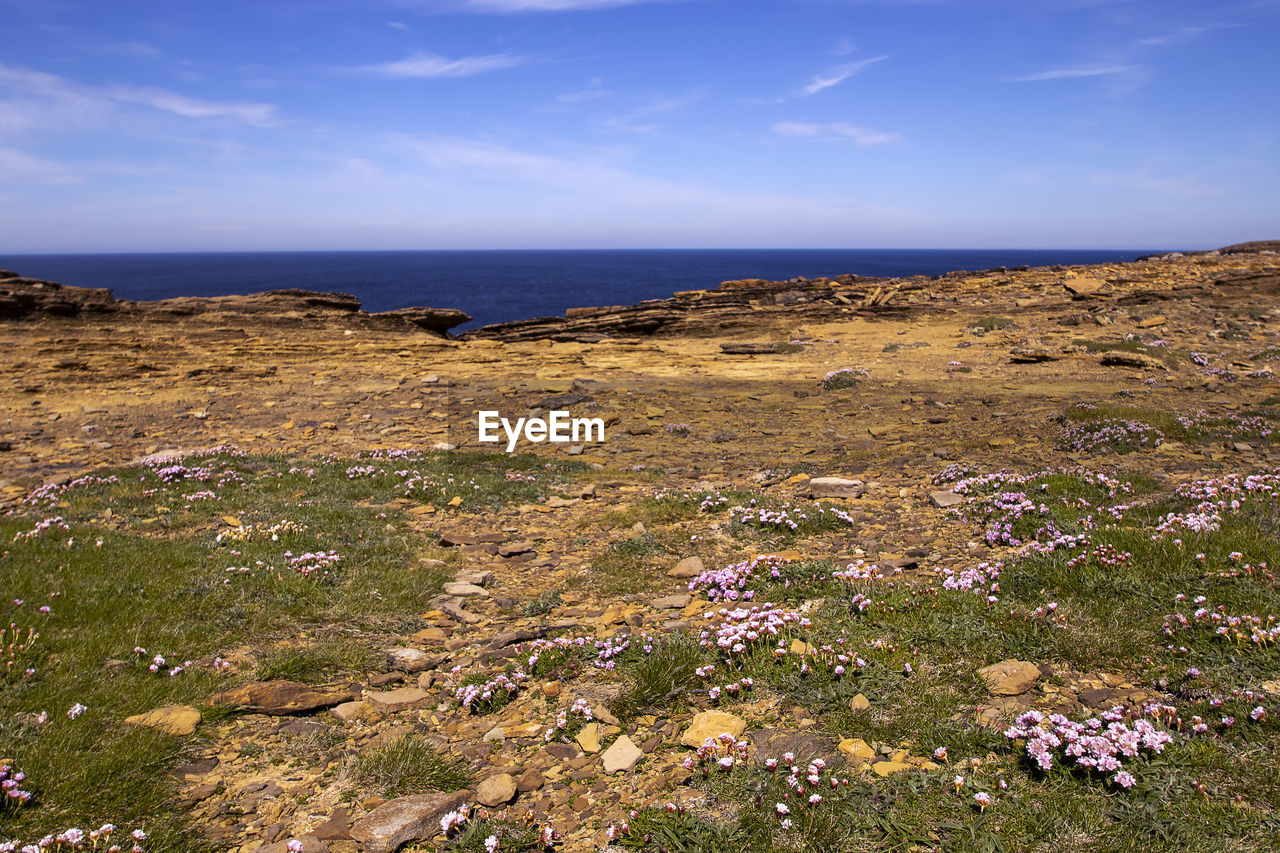 SCENIC VIEW OF SEA AGAINST BLUE SKY