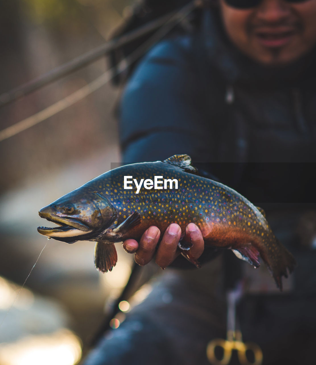 A man catches a large brook trout on a river in maine.