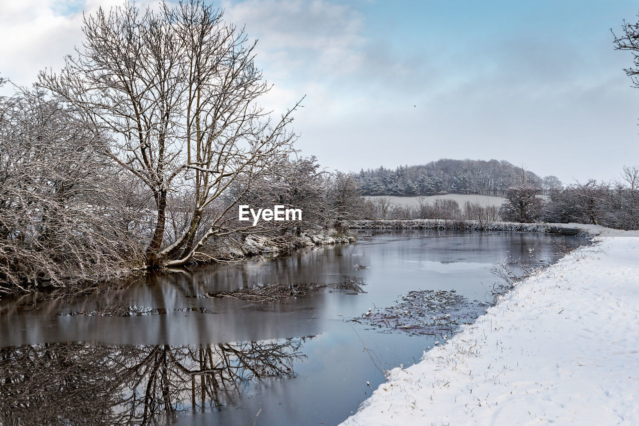 winter, tree, water, snow, reflection, sky, plant, frost, nature, cold temperature, scenics - nature, beauty in nature, environment, lake, landscape, freezing, cloud, tranquility, tranquil scene, no people, ice, branch, bare tree, travel destinations, frozen, morning, outdoors, land, tourism, travel, forest, pinaceae, mountain, non-urban scene, blue, day, coniferous tree, flower, idyllic, pine tree