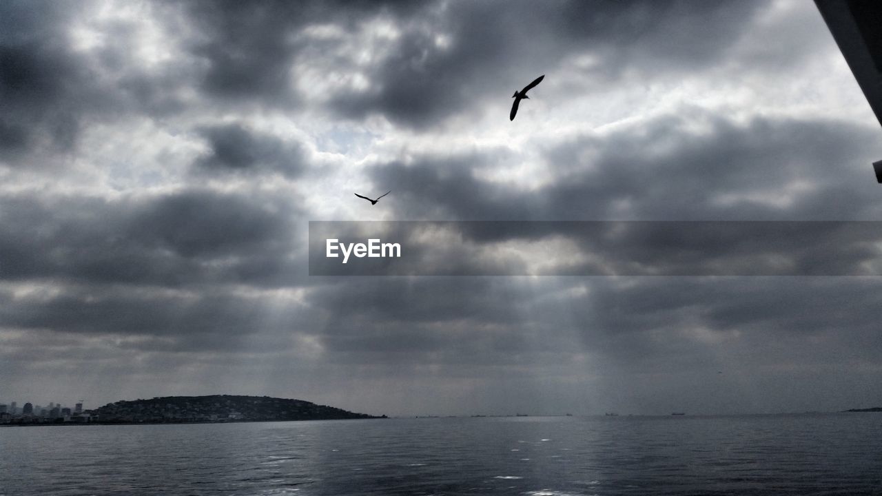 SEAGULLS FLYING OVER SEA AGAINST SKY