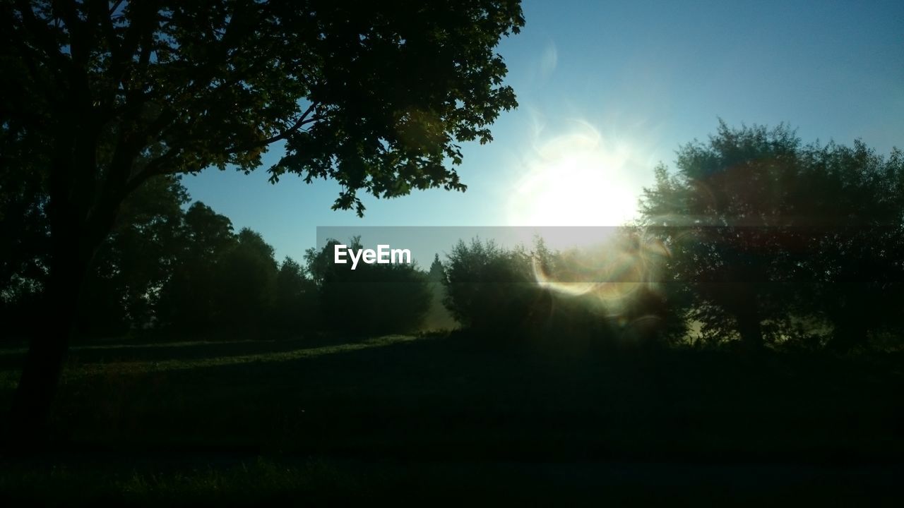 tree, sunbeam, nature, tranquil scene, sun, sunlight, tranquility, scenics, beauty in nature, landscape, no people, silhouette, field, outdoors, growth, day, sunset, sky, grass, clear sky