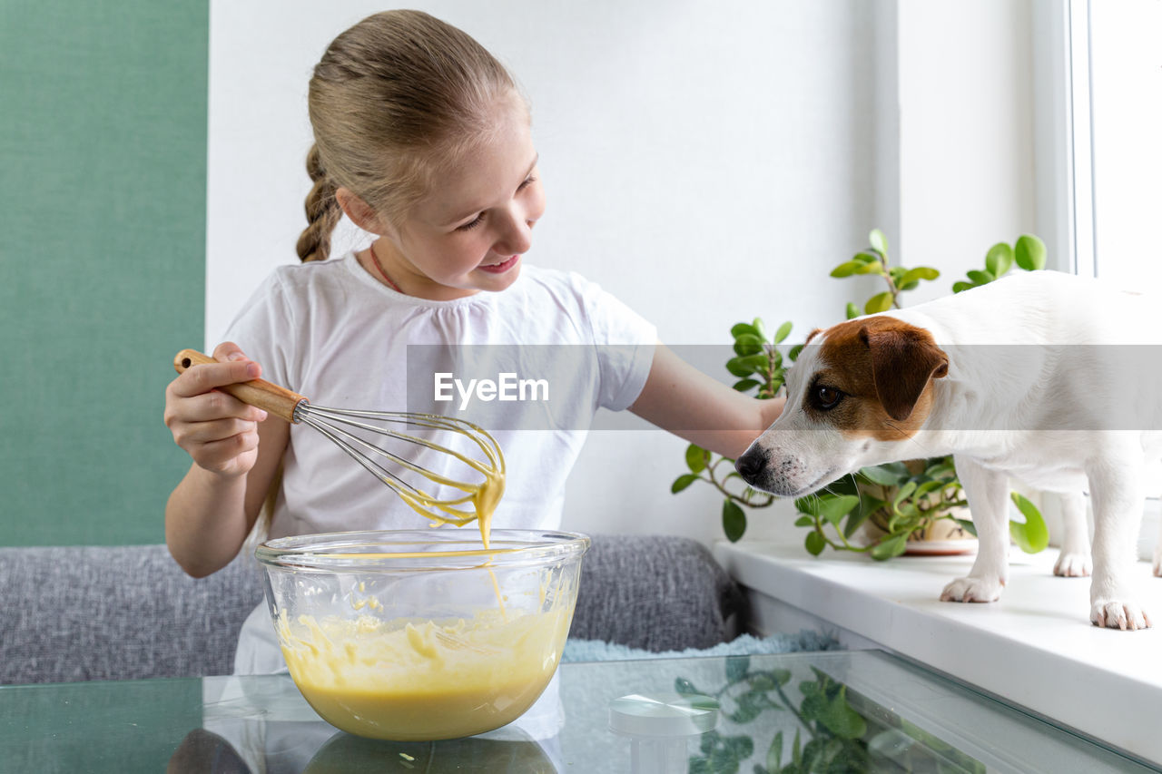 A girl treats dog with whiskey dough from a whisk. hungry dog. for a friend, do not mind. cooking. 