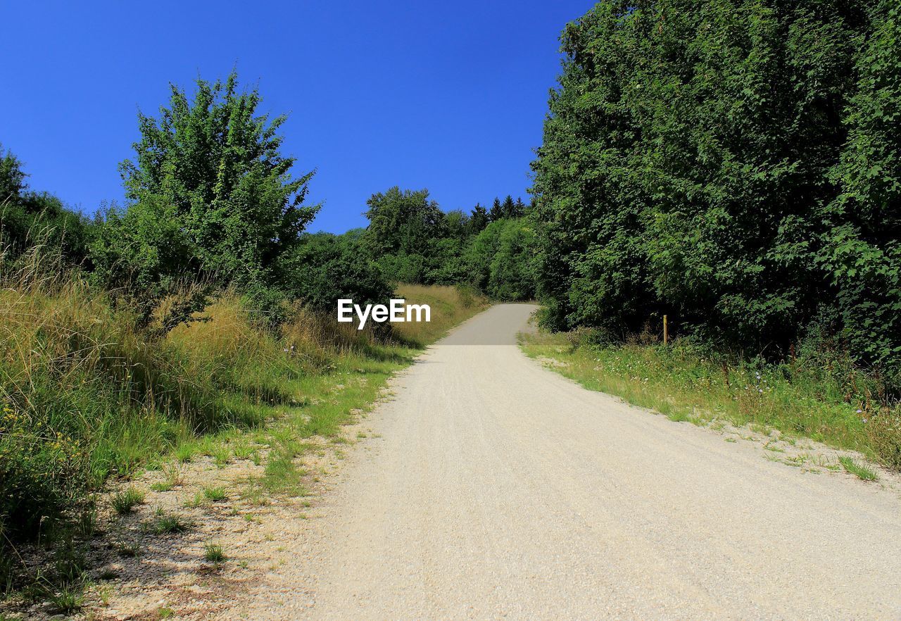 plant, road, tree, the way forward, dirt road, nature, transportation, natural environment, sky, trail, no people, land, landscape, growth, beauty in nature, infrastructure, hill, tranquility, scenics - nature, green, diminishing perspective, dirt, non-urban scene, grass, rural area, tranquil scene, environment, clear sky, soil, day, footpath, blue, wilderness, outdoors, forest, ridge, vanishing point, sunlight, empty road