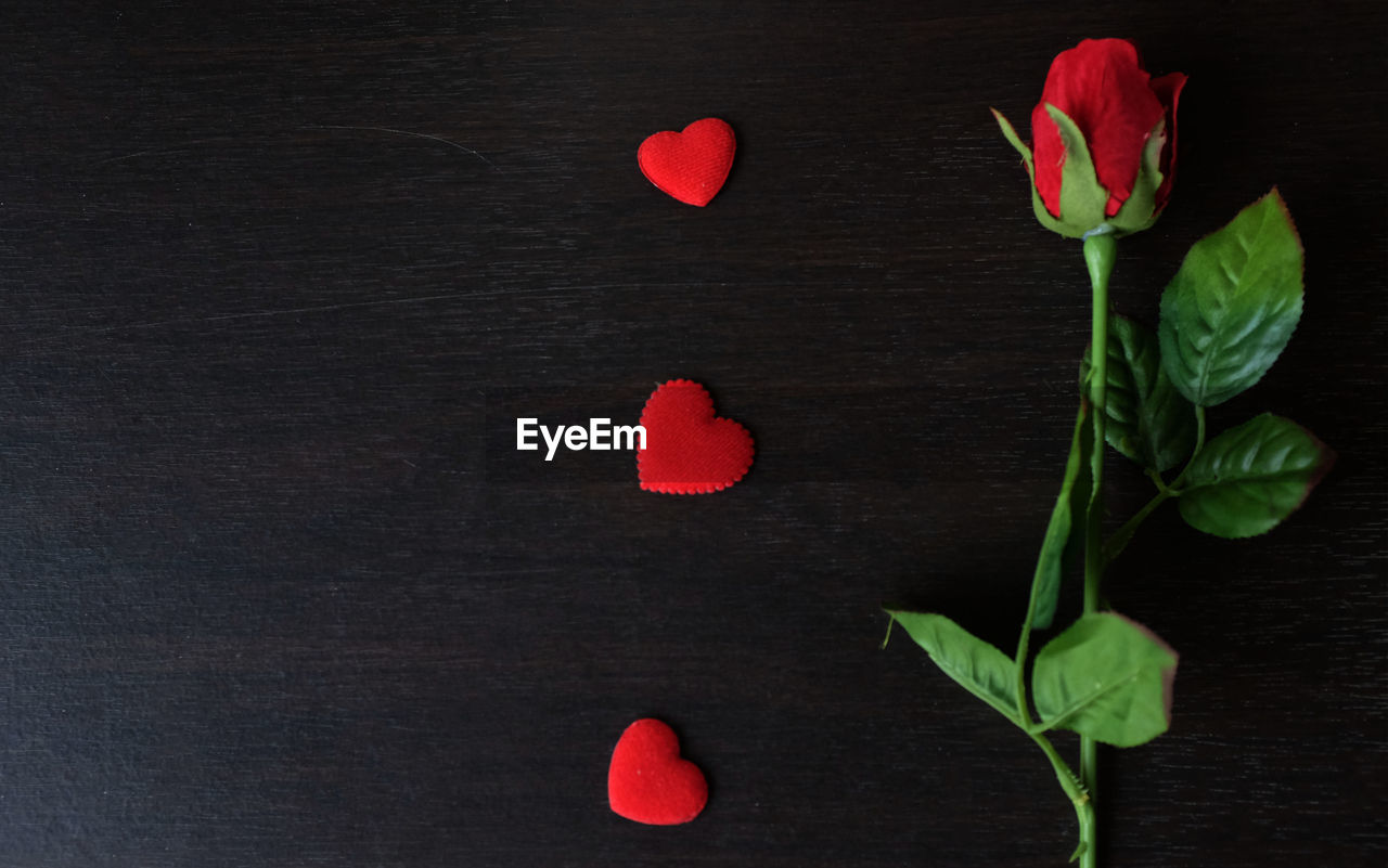 DIRECTLY ABOVE SHOT OF RED FLOWER ON TABLE