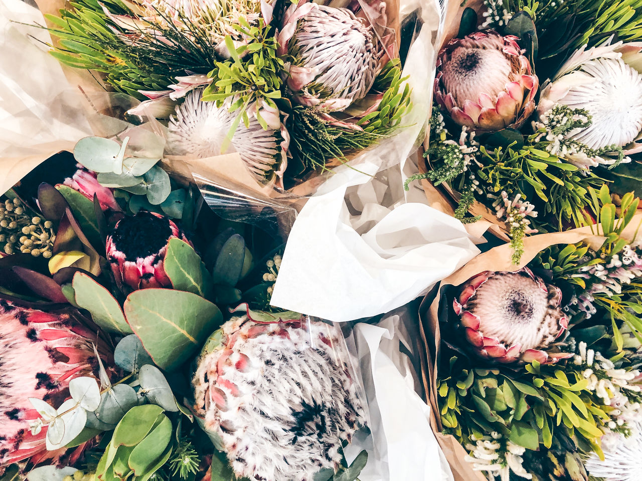High angle view of protea flower bouquet