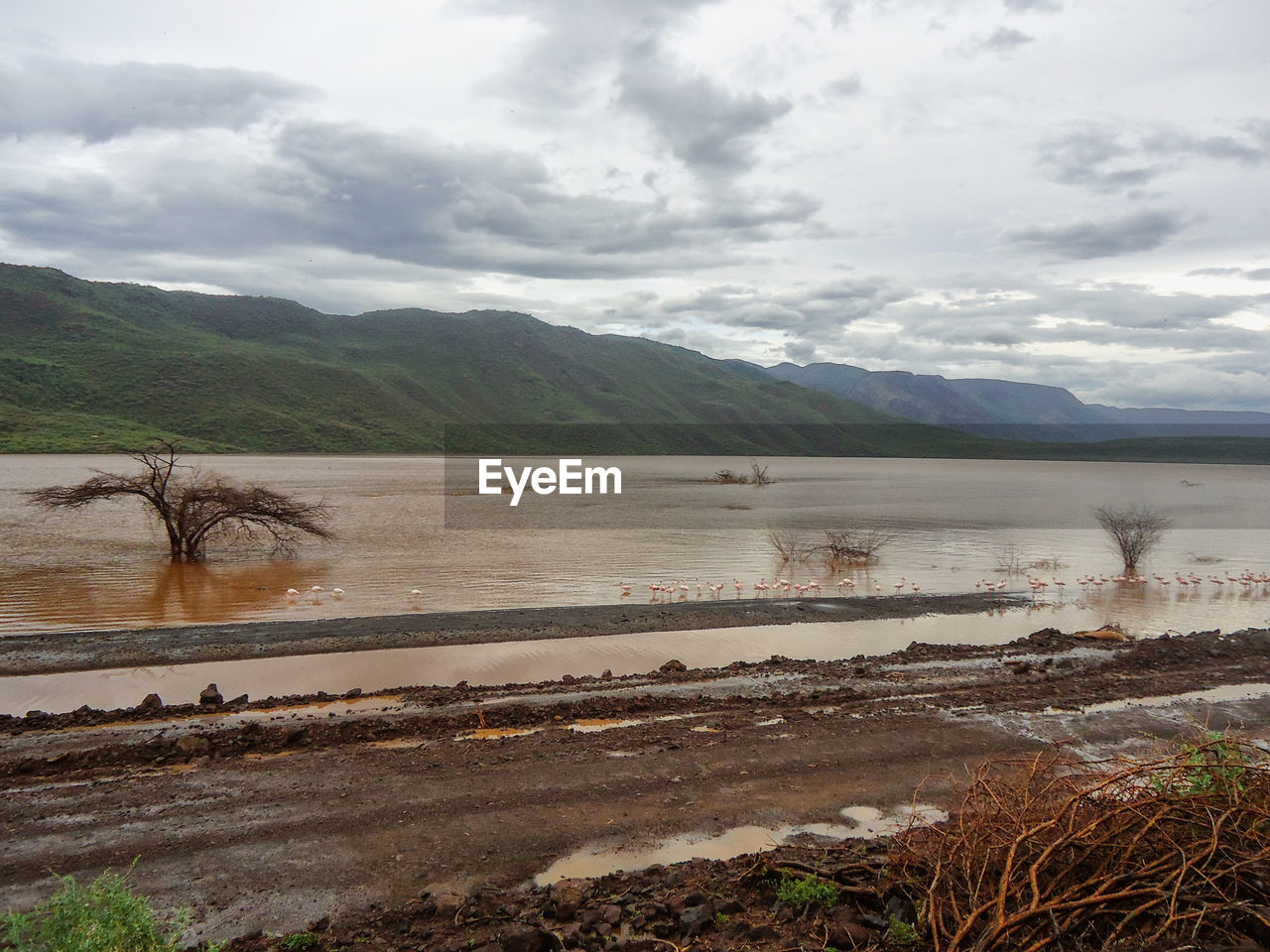 Scenic view of lake bogoria against sky in rural kenya 