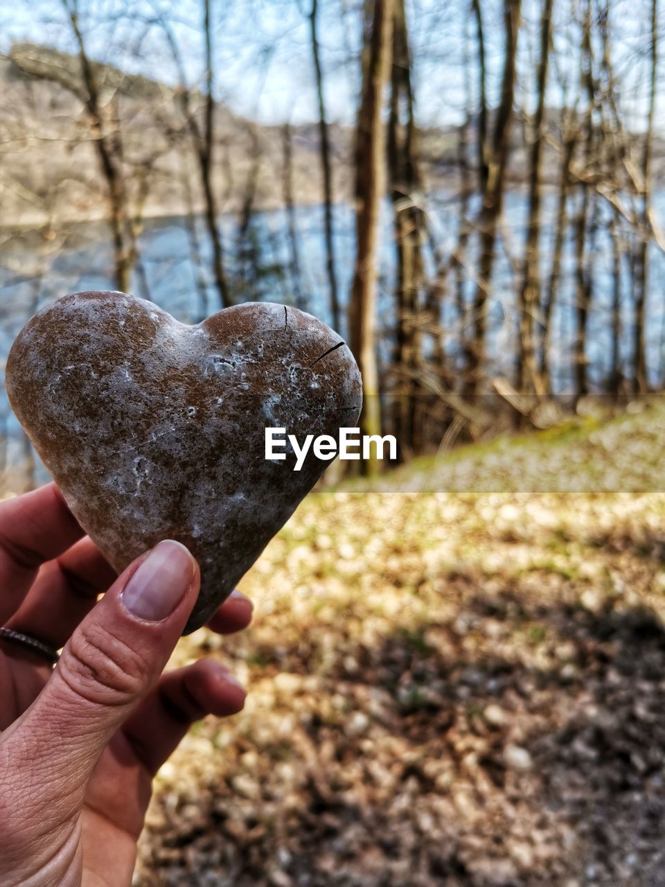 CLOSE-UP OF HAND HOLDING HEART SHAPE MADE OF TREE