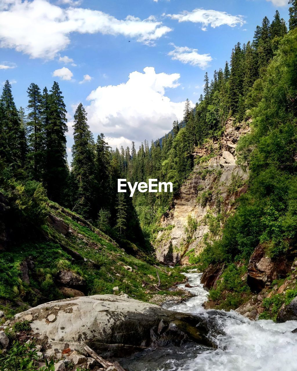 SCENIC VIEW OF WATERFALL BY TREES AGAINST SKY