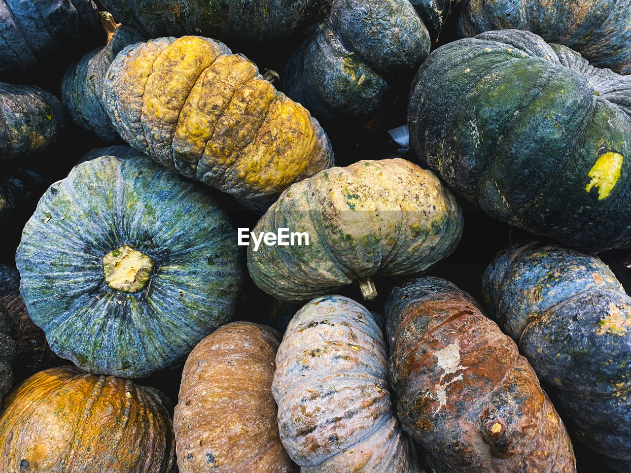 Full frame shot of pumpkins