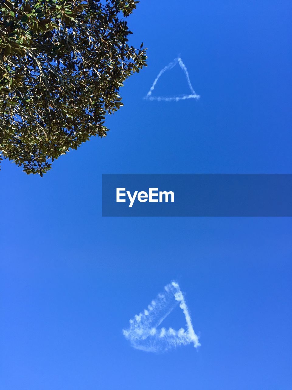 Low angle view of snow covered tree against clear blue sky