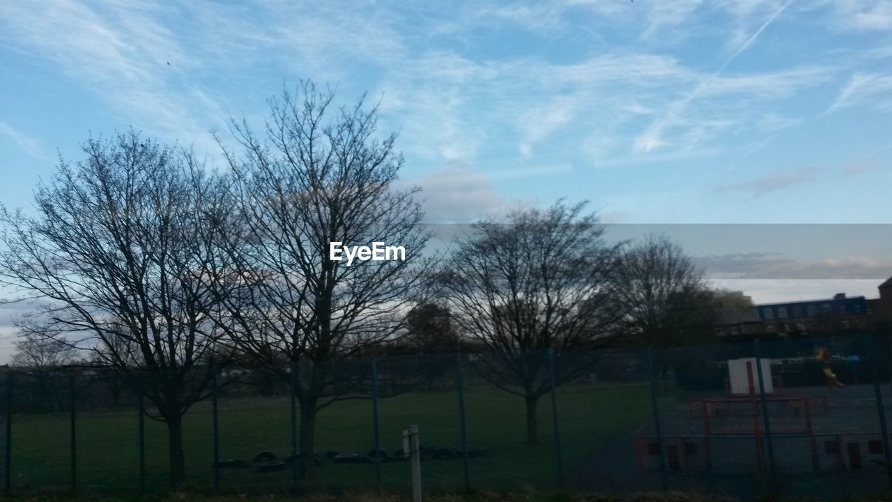 BARE TREES ON FIELD AGAINST SKY