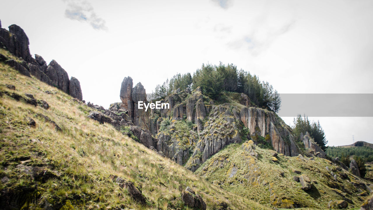 Panoramic view of trees on mountain against sky