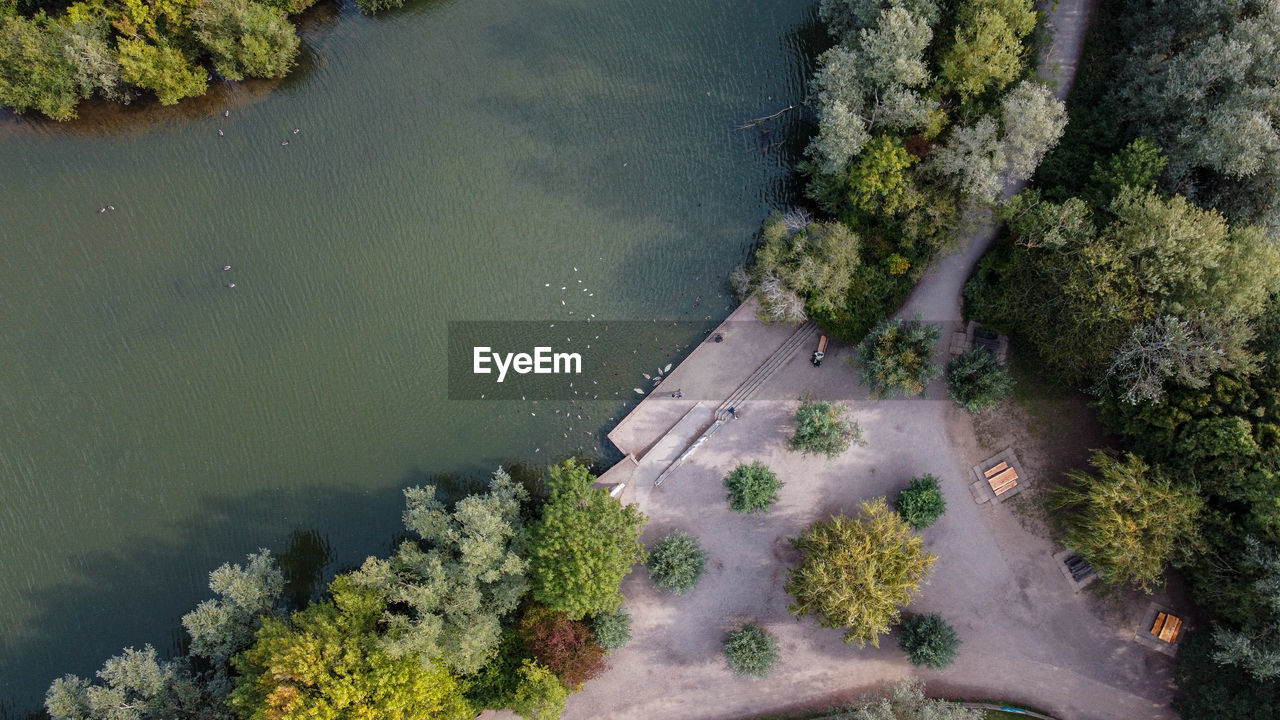 HIGH ANGLE VIEW OF TREES ALONG PLANTS