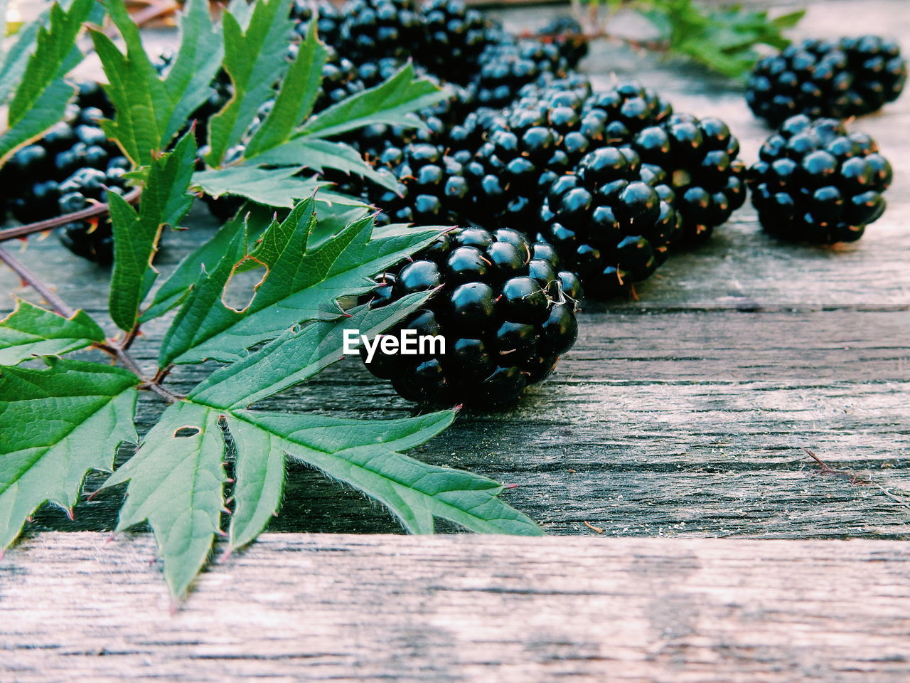 Close-up of blackberries on wood