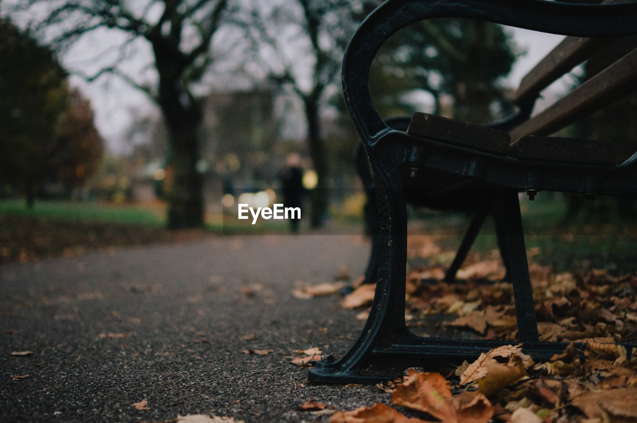 Close-up of empty bench in park