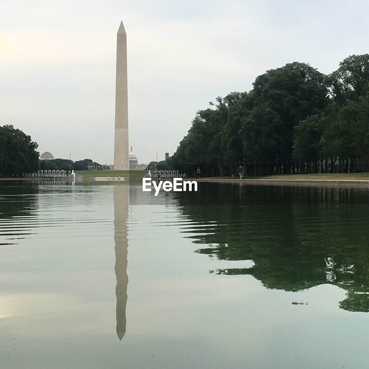 REFLECTION OF TREES IN WATER