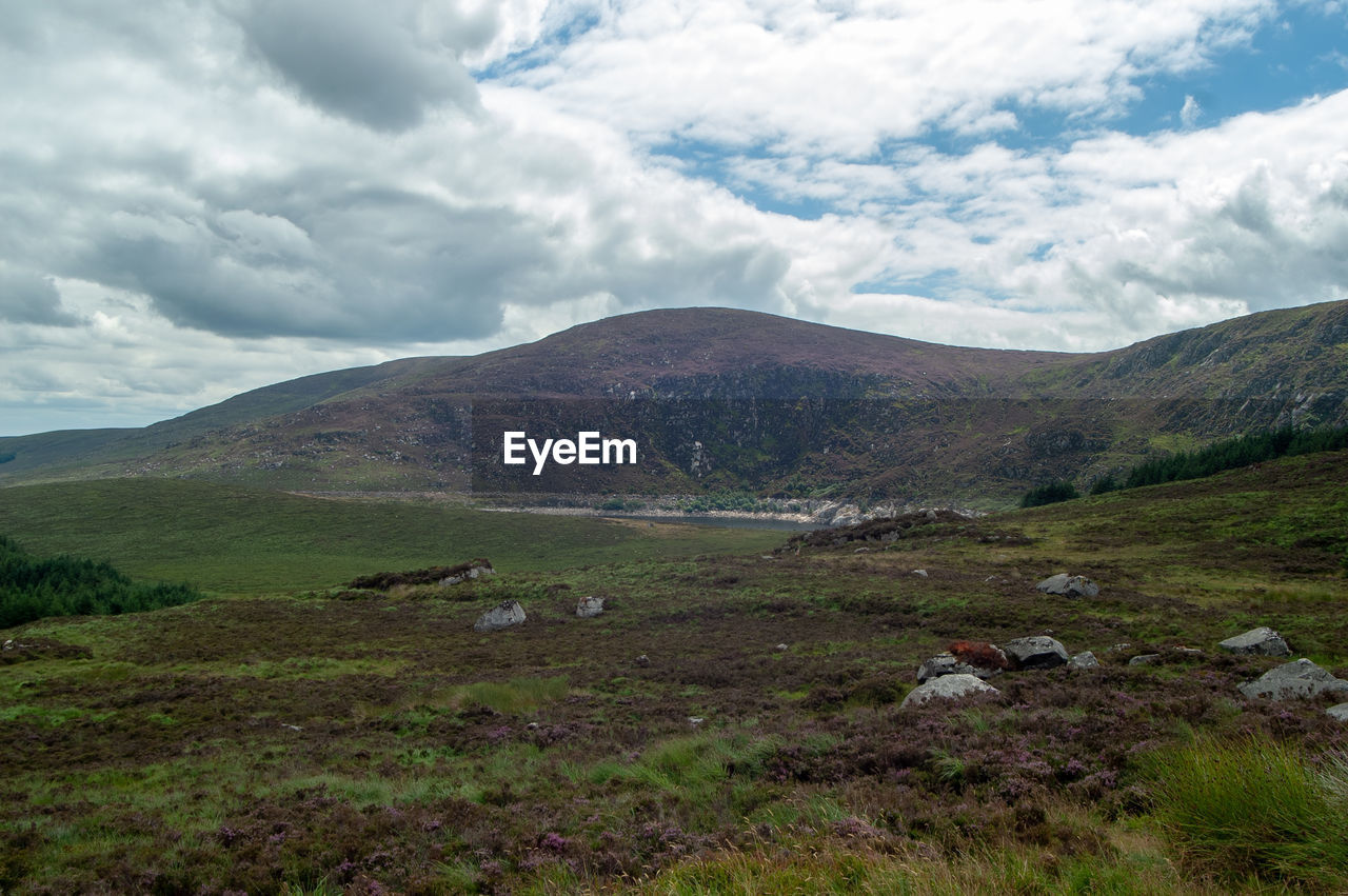 Scenic view of landscape and mountains against sky