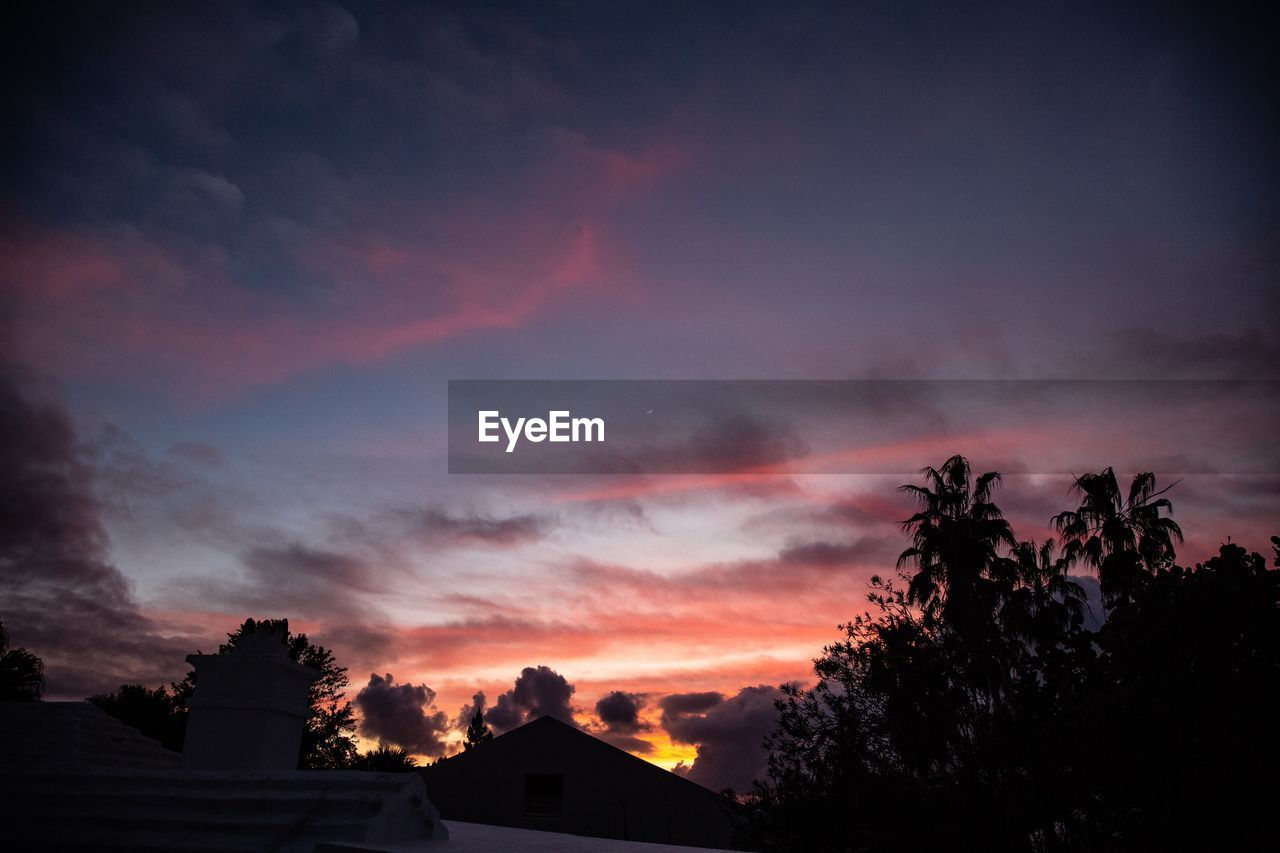 LOW ANGLE VIEW OF SILHOUETTE TREES AGAINST SKY AT SUNSET