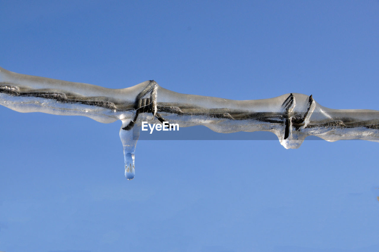 Low angle view of frozen barbed wire against blue sky during winter