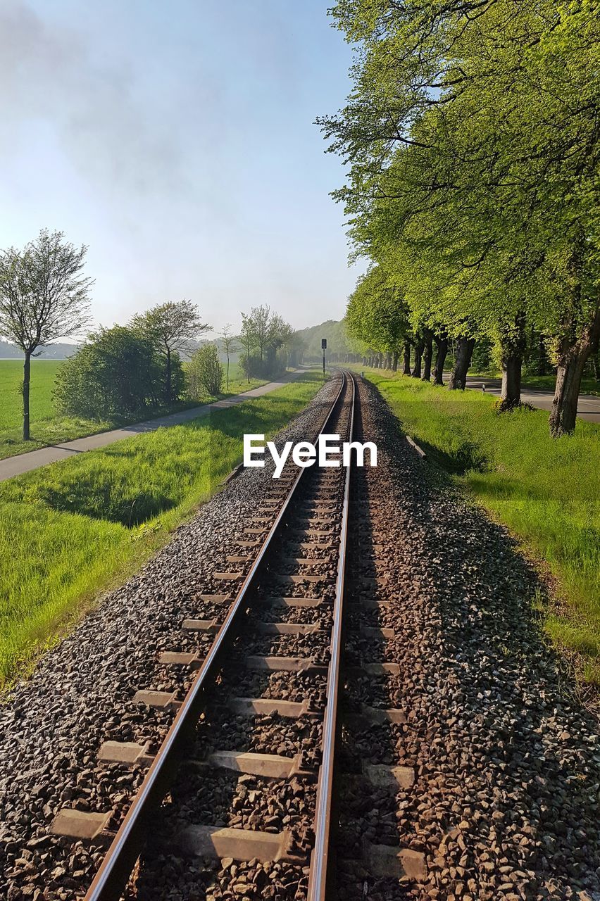 View of railway tracks along trees