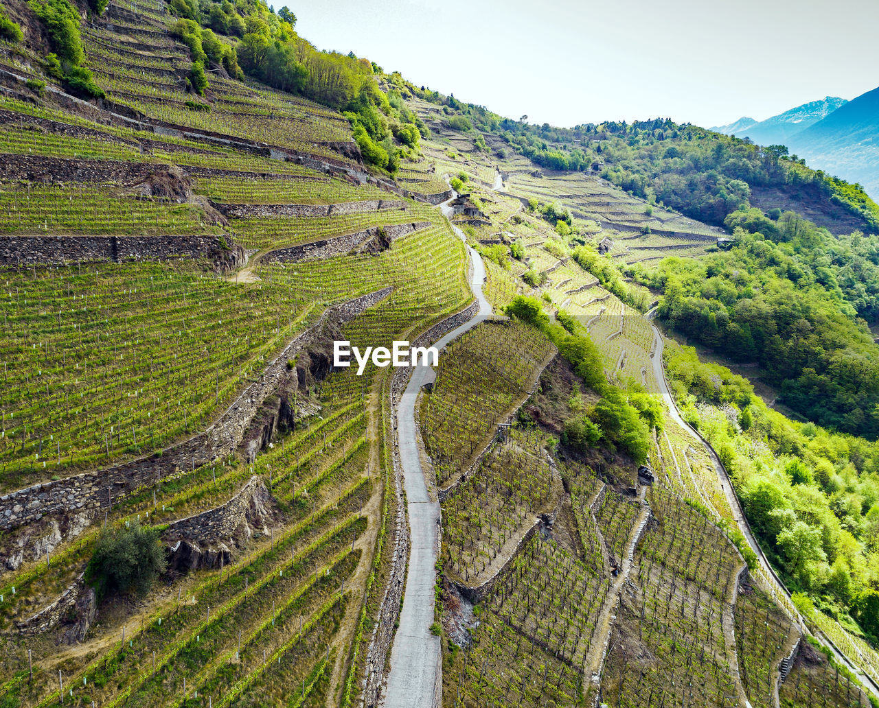 HIGH ANGLE VIEW OF ROAD AMIDST AGRICULTURAL LANDSCAPE