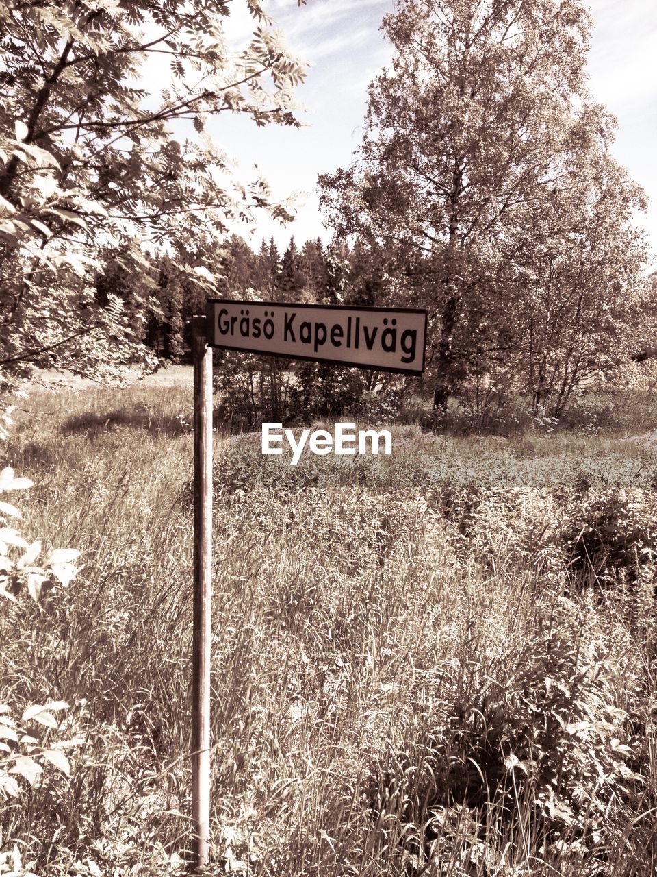 Close-up of sign board on grassy field