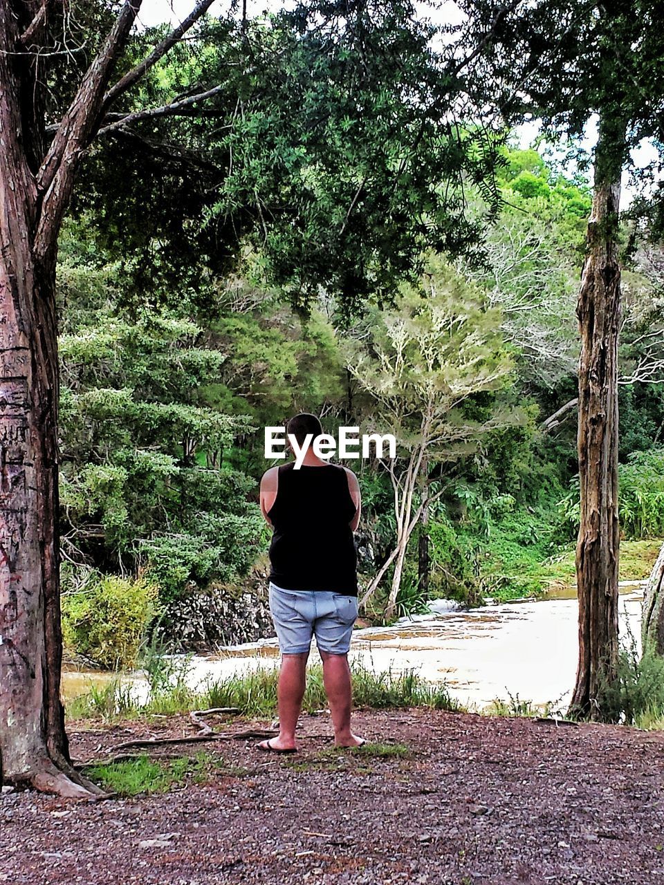 REAR VIEW OF WOMAN STANDING AGAINST TREES IN FOREST