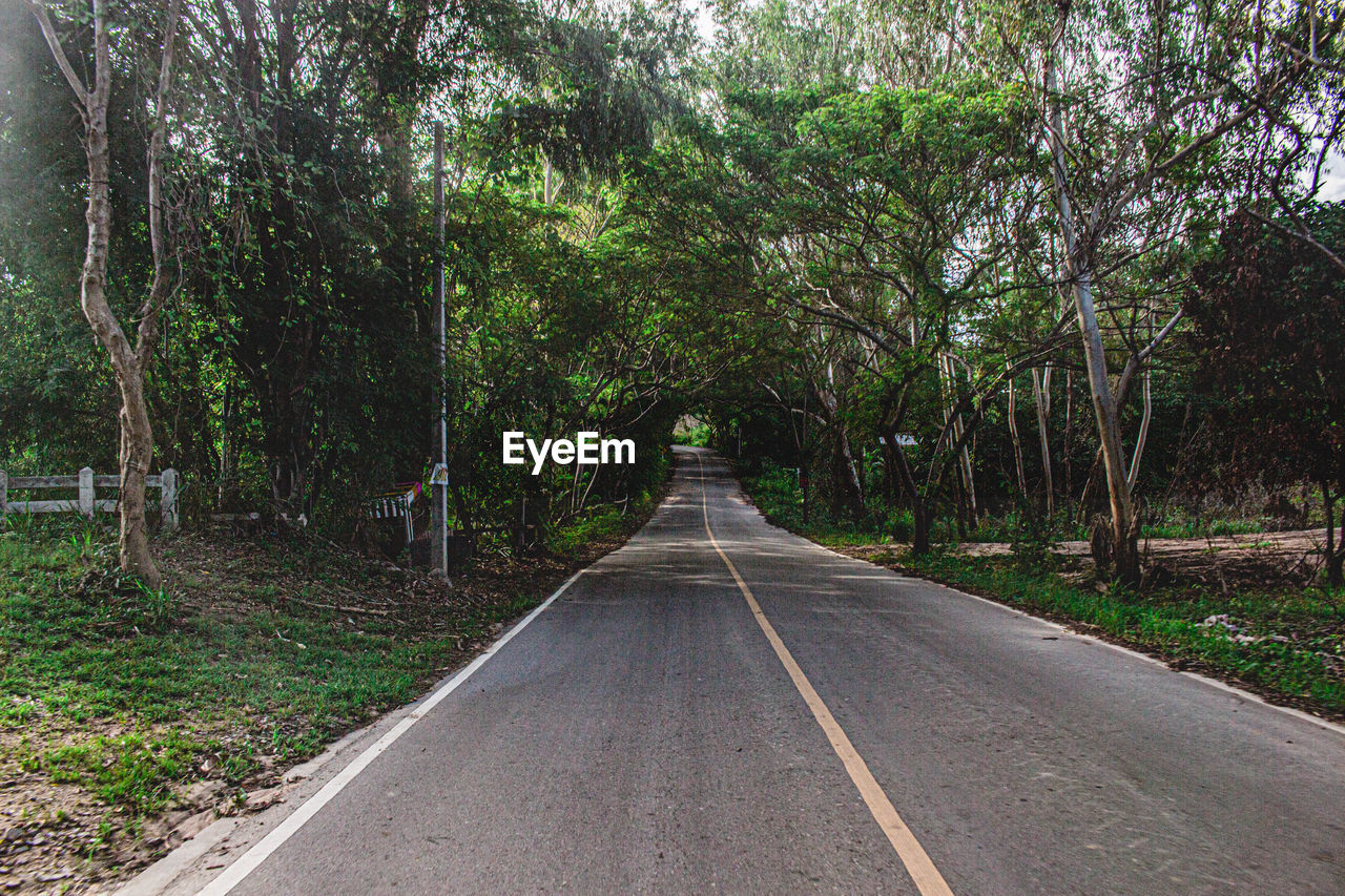 EMPTY ROAD AMIDST TREES