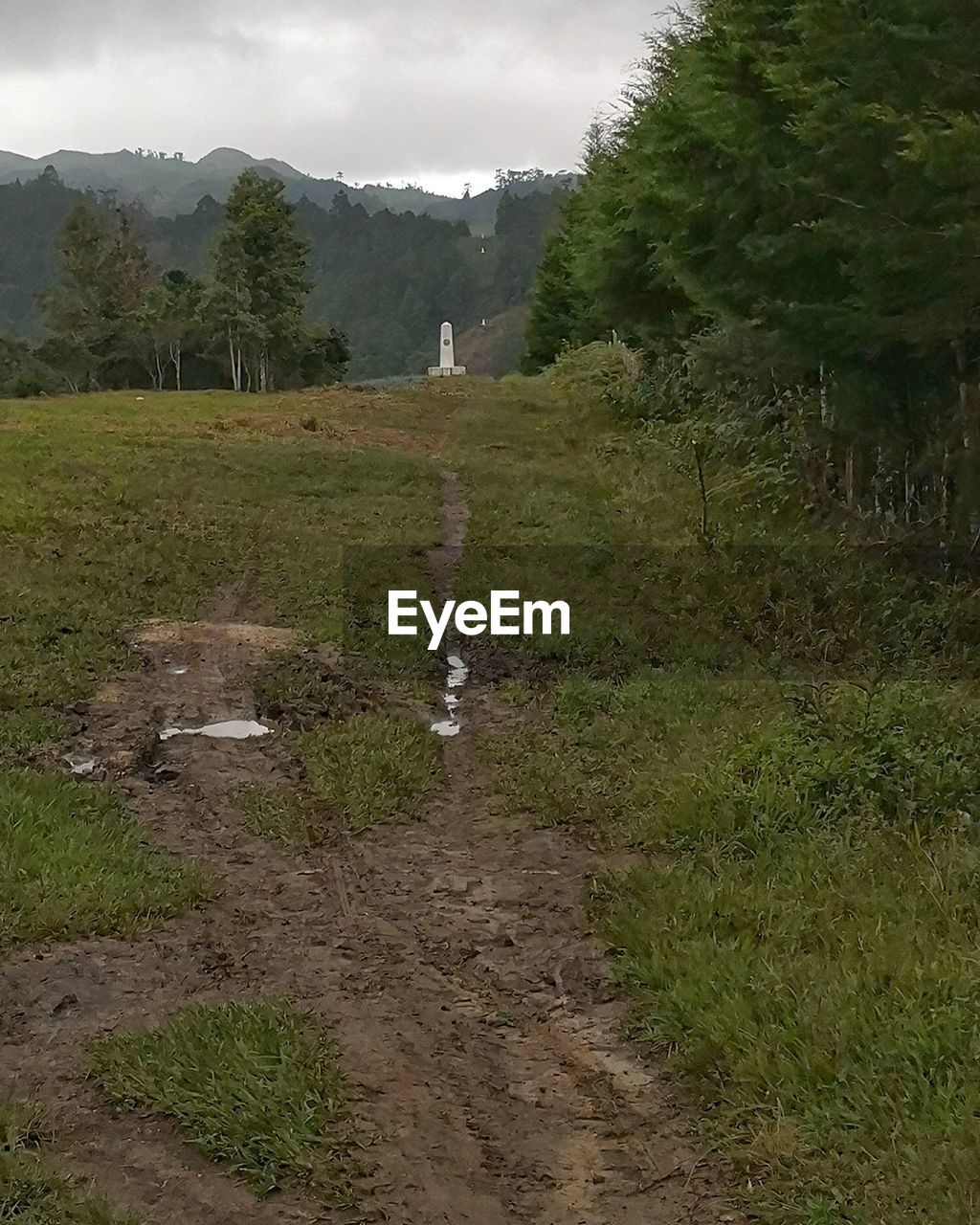 SCENIC VIEW OF LANDSCAPE