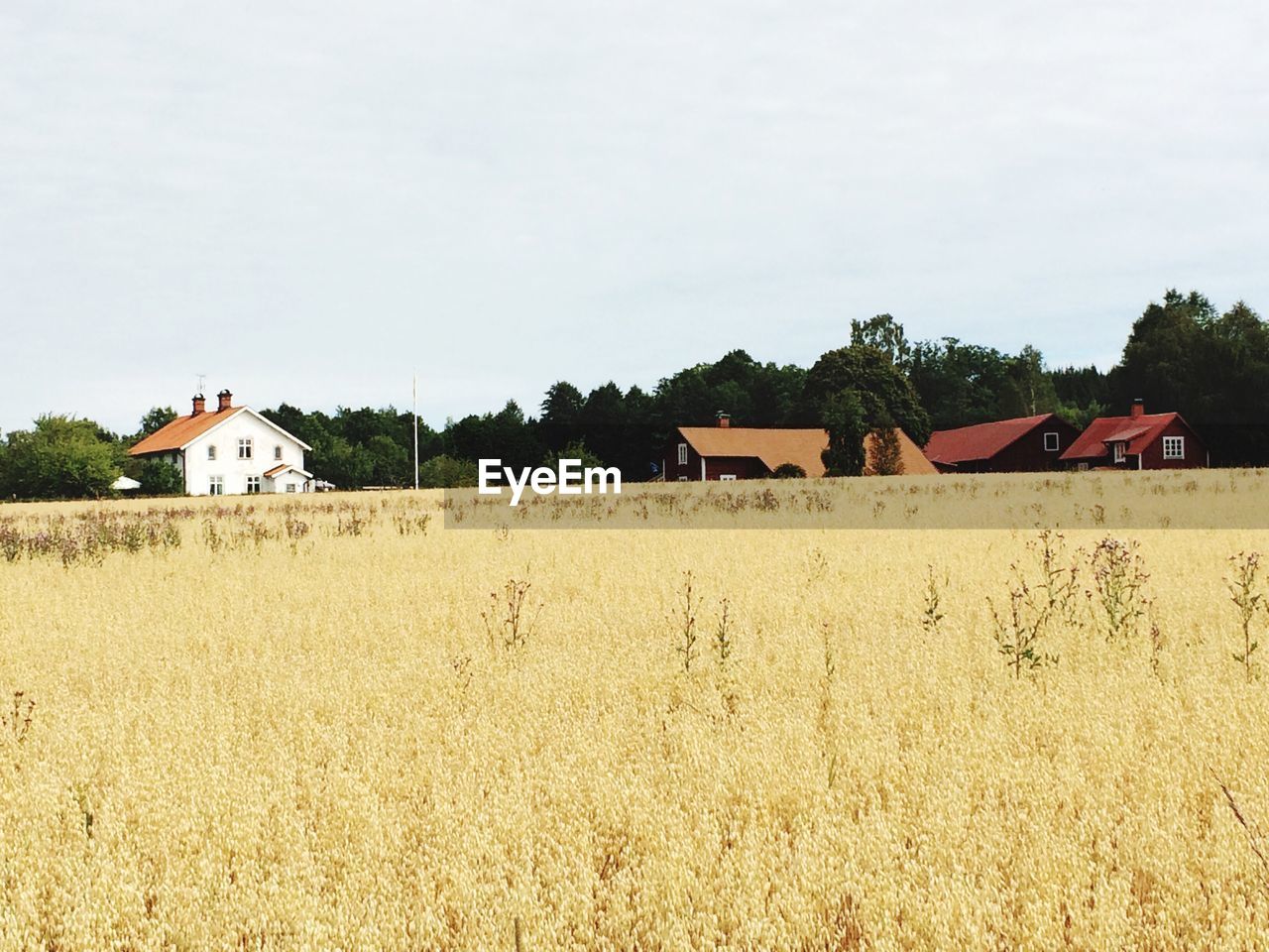 Houses on field against clear sky